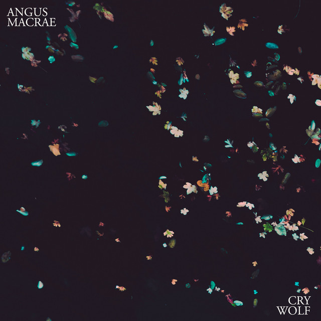 Cry Wolf - Angus MacRae